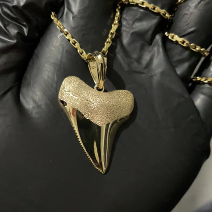 Shark Tooth Pendant