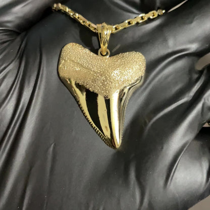 Shark Tooth Pendant