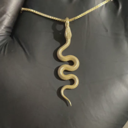 Snake Pendant