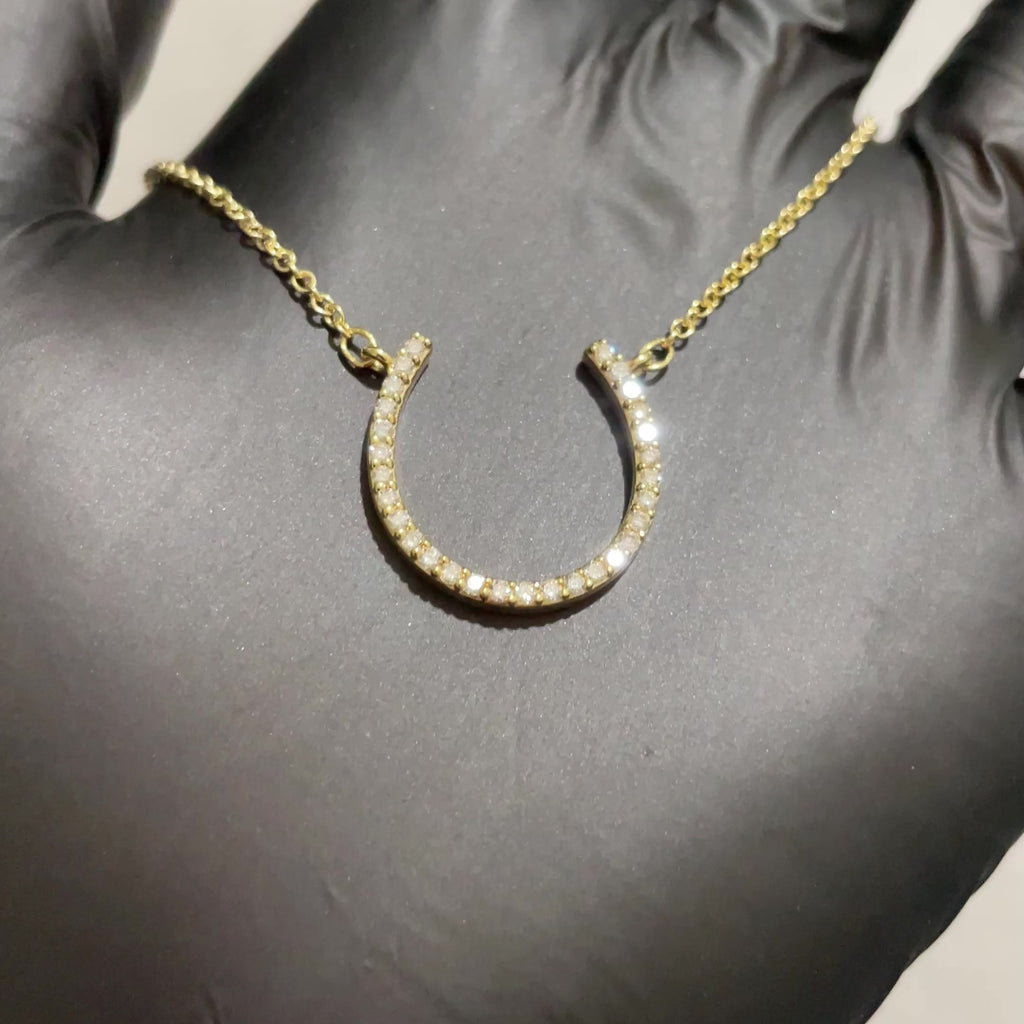 Horseshoe Pendant with Rollo Chain