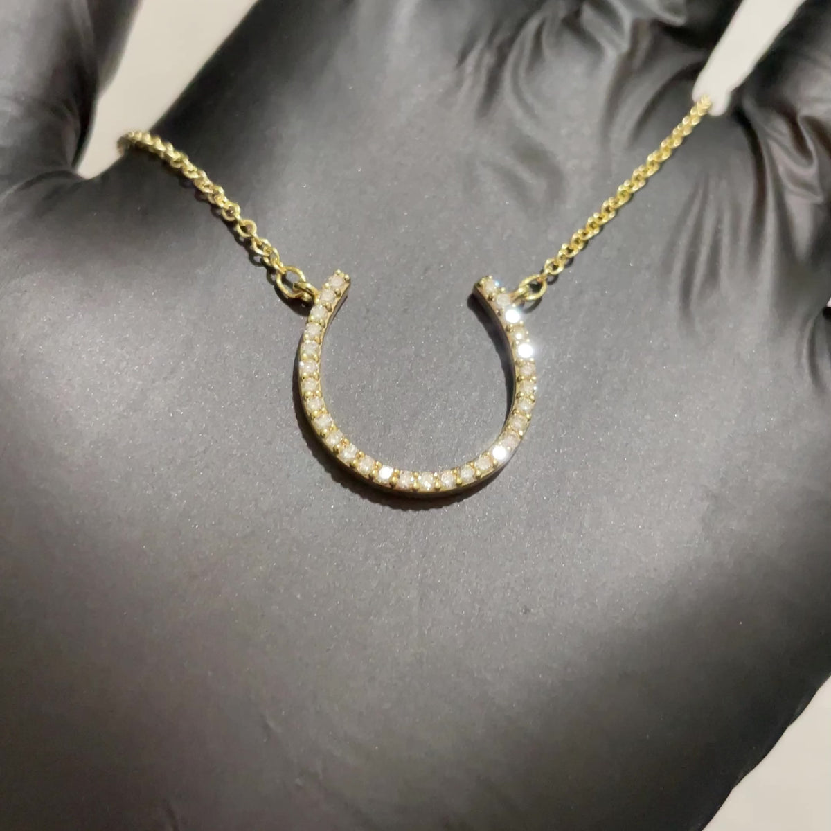 Horseshoe Pendant with Rollo Chain