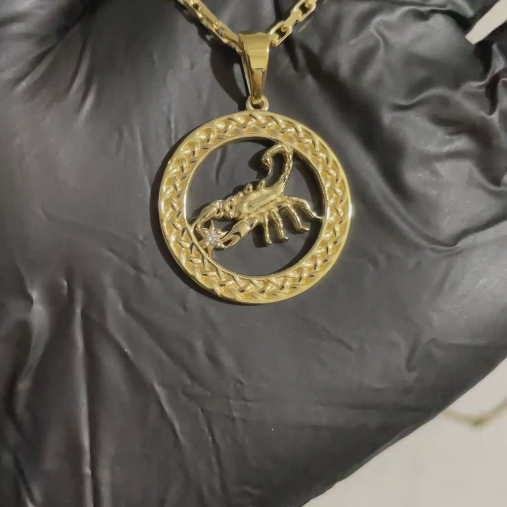 Scorpion Charm with Interwoven Eternal Braids