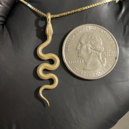 Snake Pendant